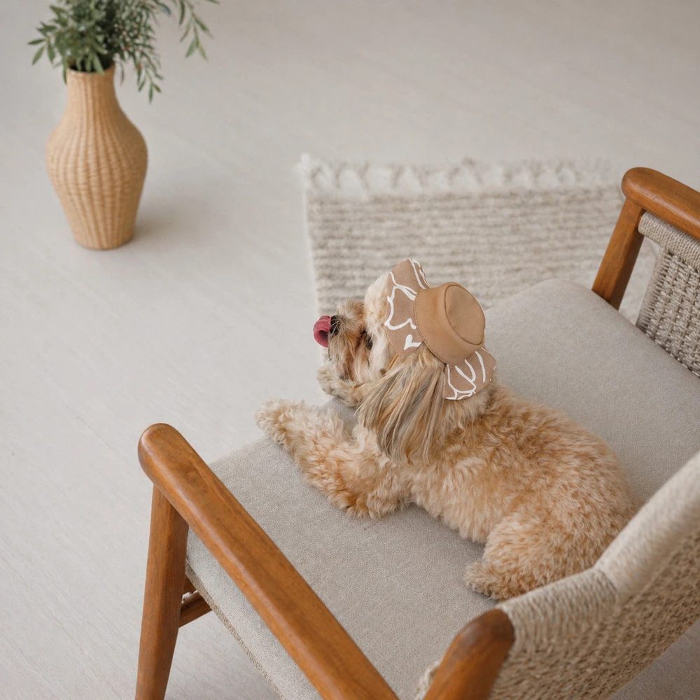 Панама Pet Fashion Print для собак XL