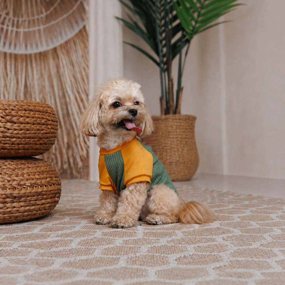 Футболка Pet Fashion Kent для собак S