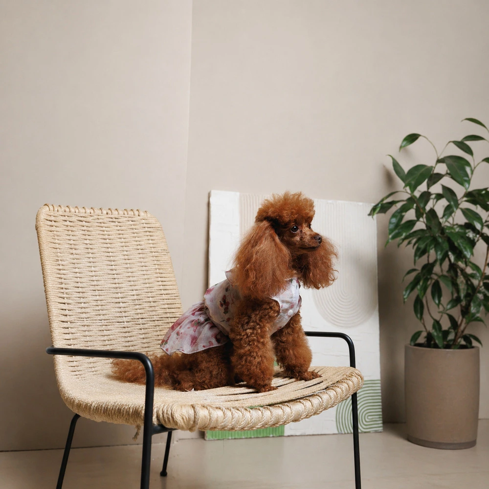 Сукня Pet Fashion Amelia для собак S