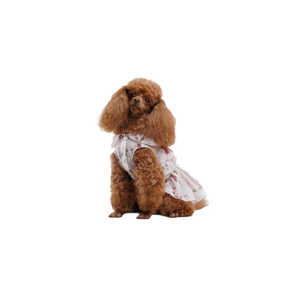 Сукня Pet Fashion Amelia для собак XS