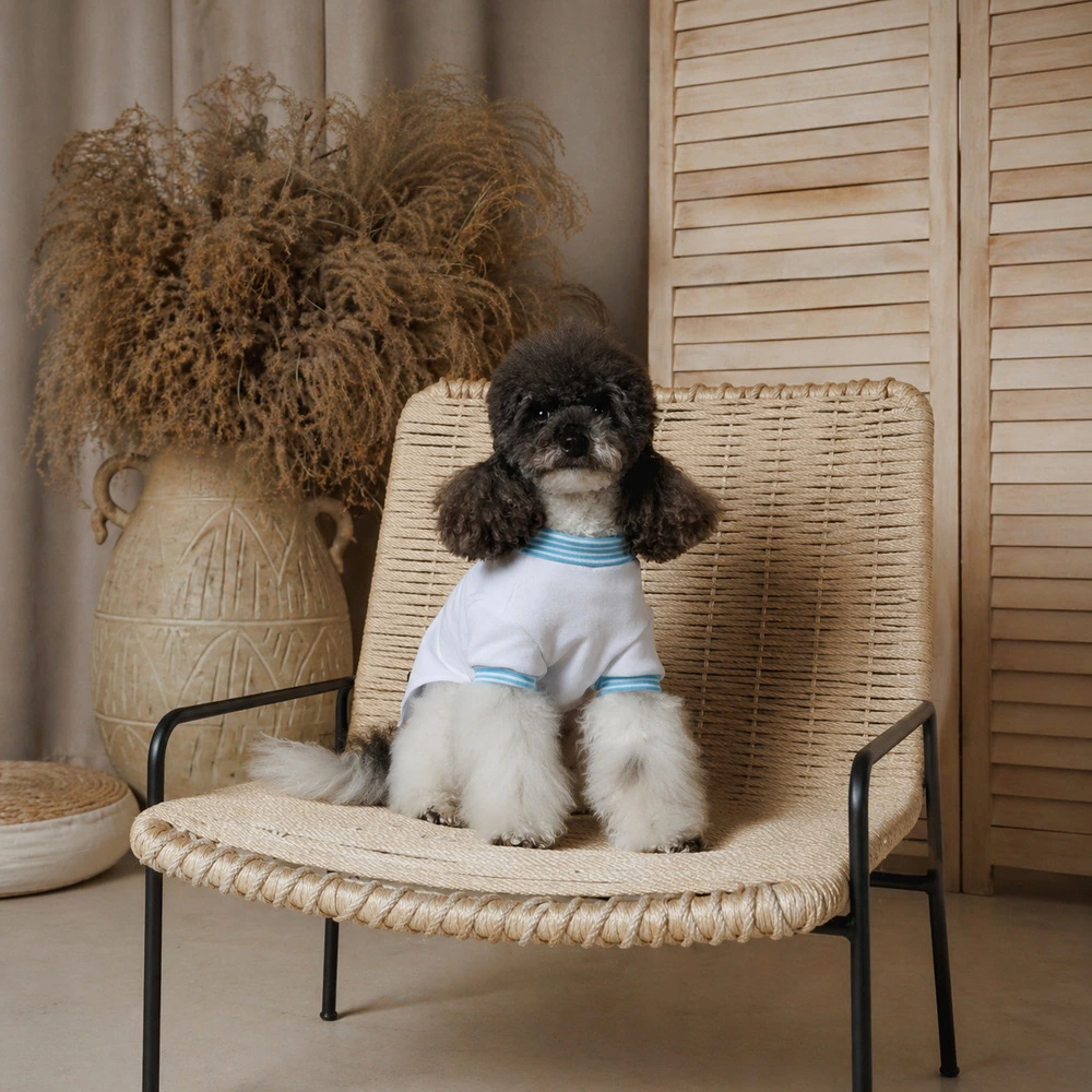 Футболка Pet Fashion Polo для собак XS