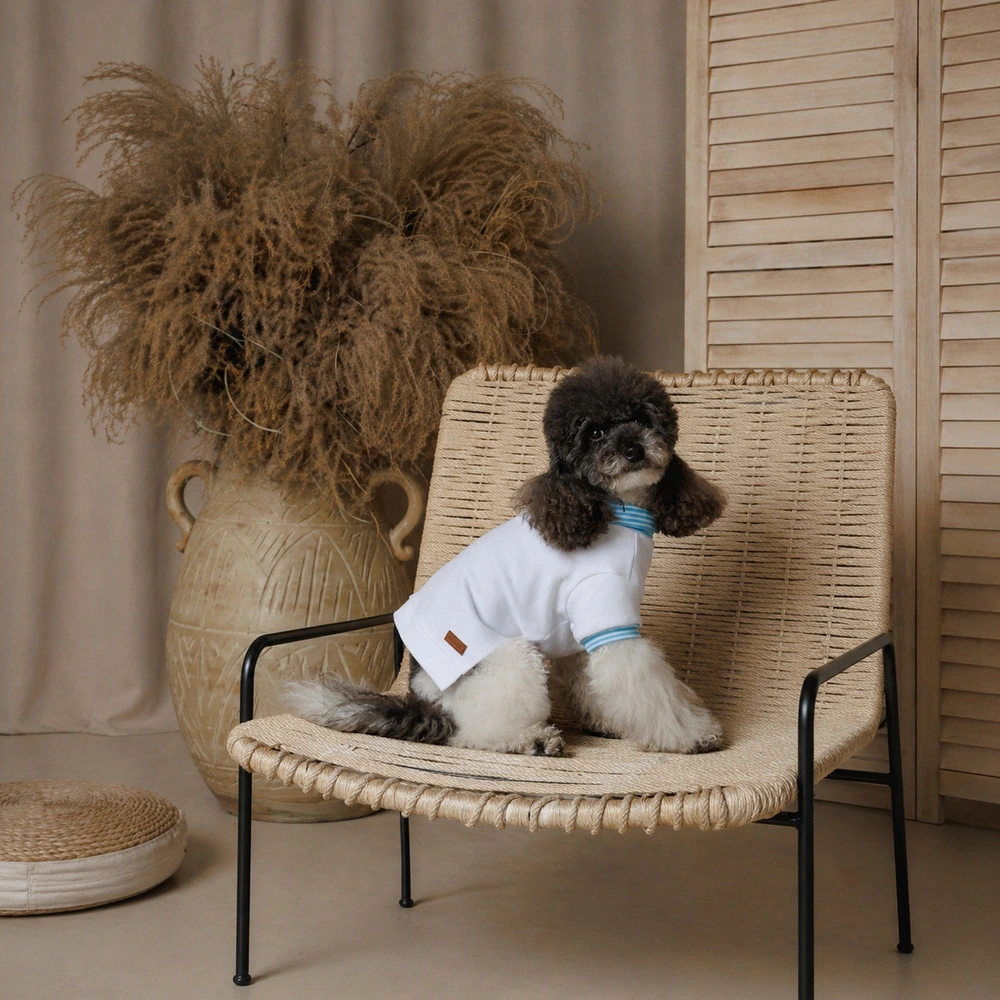 Футболка Pet Fashion Polo для собак XS