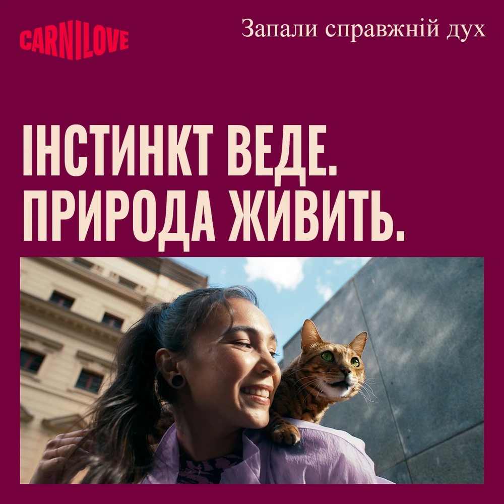 Ласощі Carnilove Crunchy Snack Lamb with Blackberries для котів хрусткі ягня та ожина 50 г