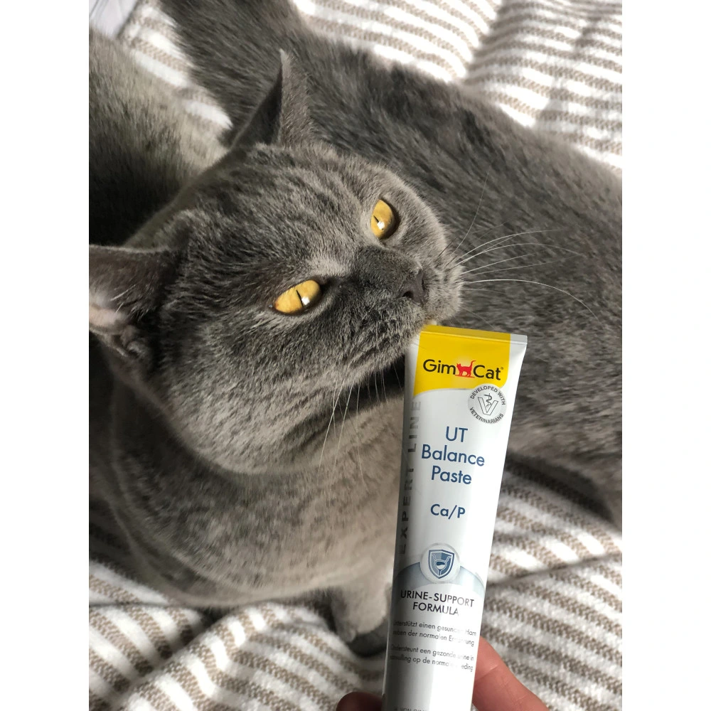 Вітаміни GimCat Expert Line UT Balance для котів паста для нирок та сечовивідних шляхів 50 г