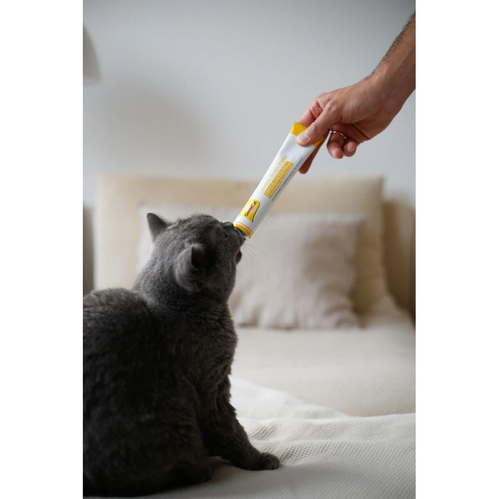 Паста GimCat Cheese Biotin Paste для котів усіх порід cирна з біотином 100г