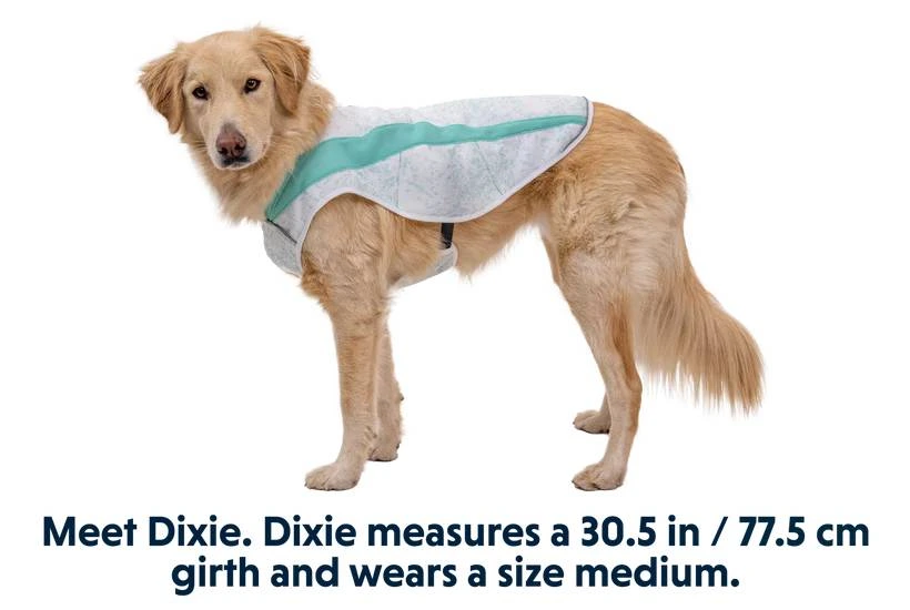 Охолоджуюча попона для собак Ruffwear Swamp Cooler™ L Зелений