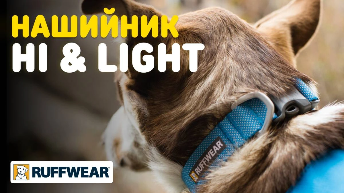 Облегченный ошейник для собак Ruffwear Hi & Light™ 23-28 см Зеленый