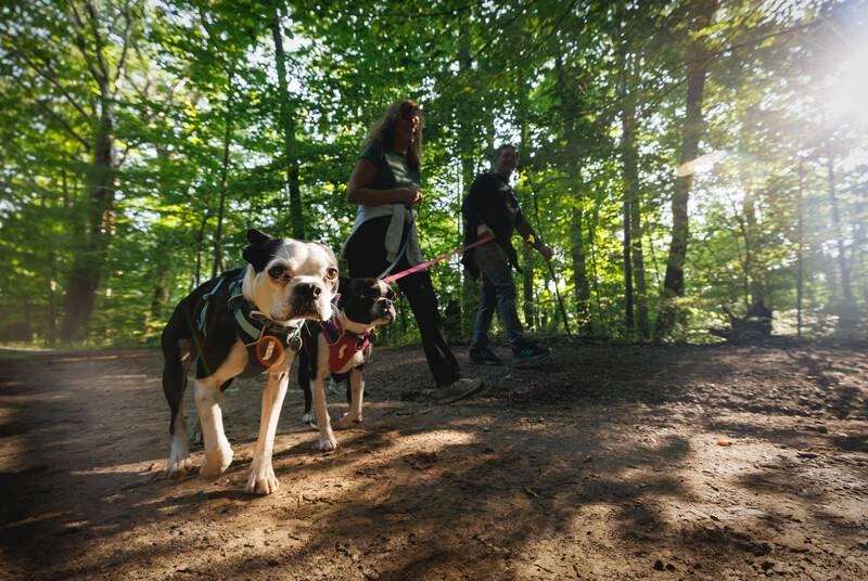 Облегченная шлейка для собак Ruffwear Hi & Light™ L/XL 81-107 см Малиновый