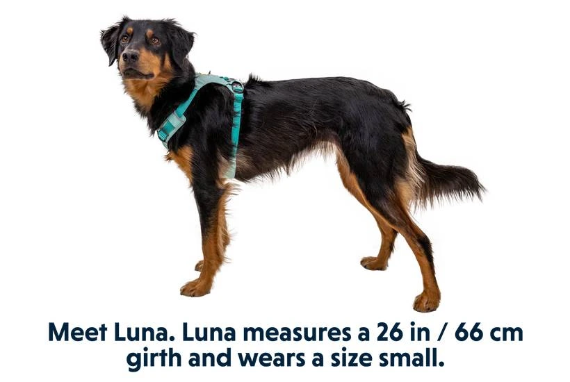 Полегшена шлейка для собак Ruffwear Hi & Light™ M 69-81 см Зелений