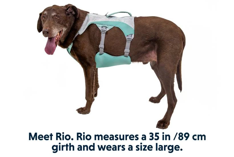 Охлаждающая шлейка для собак Ruffwear Swamp Cooler™ XS 43-56 см Зеленый
