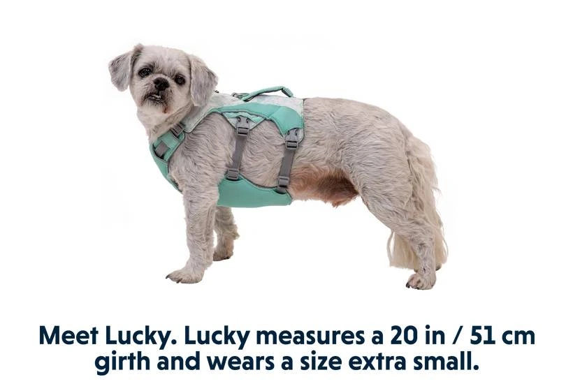 Охлаждающая шлейка для собак Ruffwear Swamp Cooler™ XS 43-56 см Зеленый