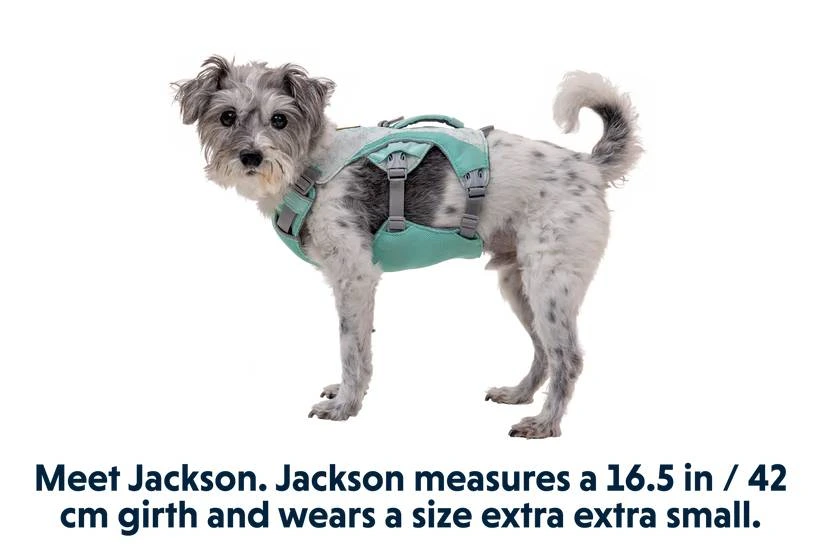 Охлаждающая шлейка для собак Ruffwear Swamp Cooler™ S 56-69 см Зеленый