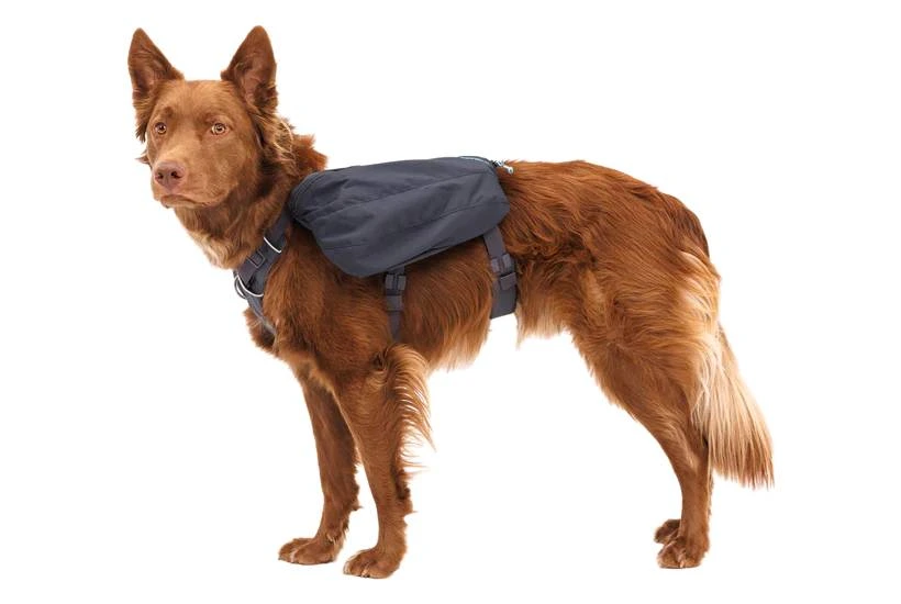 Шлейка-рюкзак для собак Ruffwear Front Range™ L/XL Сірий
