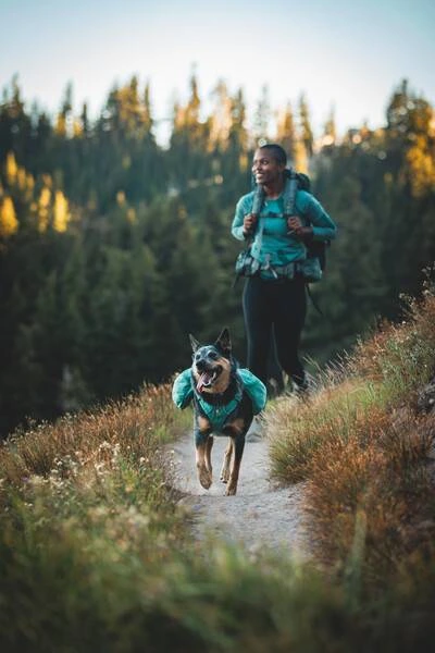 Шлейка-рюкзак для собак Ruffwear Front Range™ XS Зелений