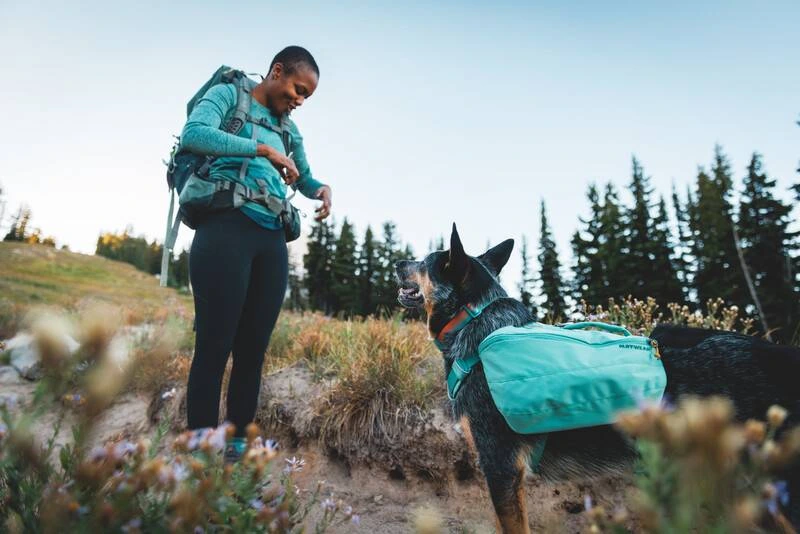 Шлейка-рюкзак для собак Ruffwear Front Range™ XS Зелений