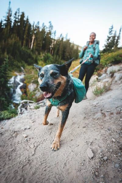 Шлейка-рюкзак для собак Ruffwear Front Range™ S Зелений