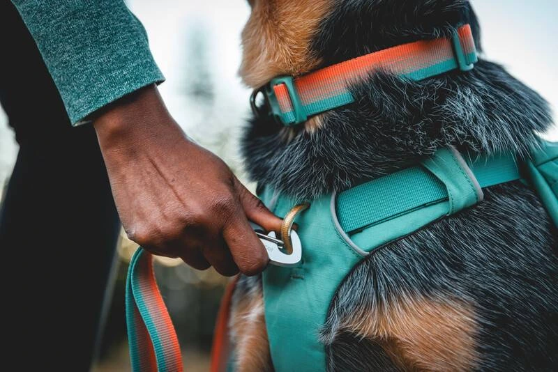 Шлейка-рюкзак для собак Ruffwear Front Range™ M Зелений