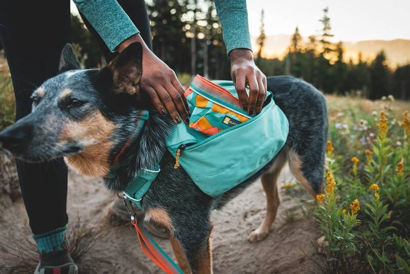 Шлейка-рюкзак для собак Ruffwear Front Range™ L/XL Зелений