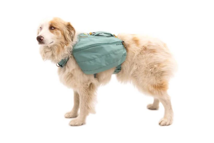 Шлейка-рюкзак для собак Ruffwear Front Range™ L/XL Зелений