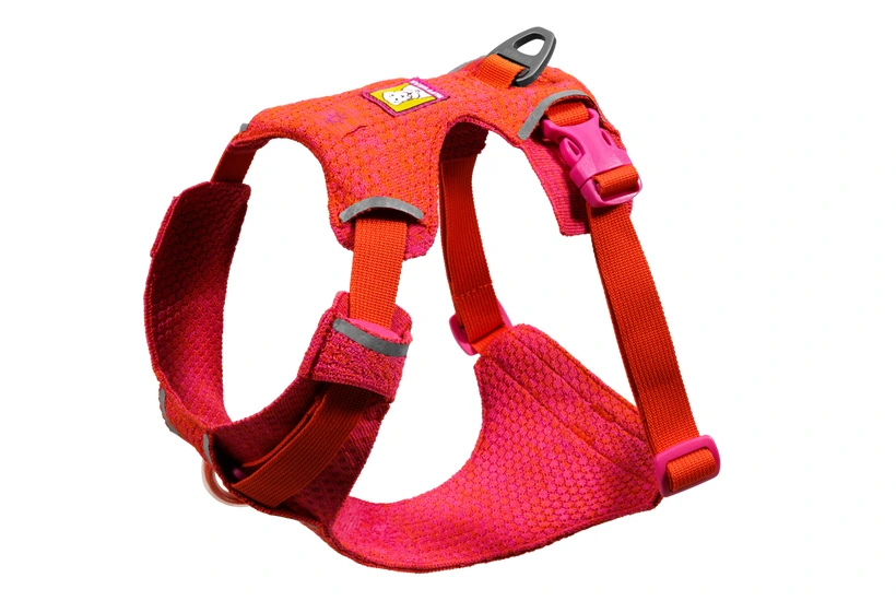 Шлея для собак Ruffwear Front Range® Flex Harness XS Рожево-фіолетовий