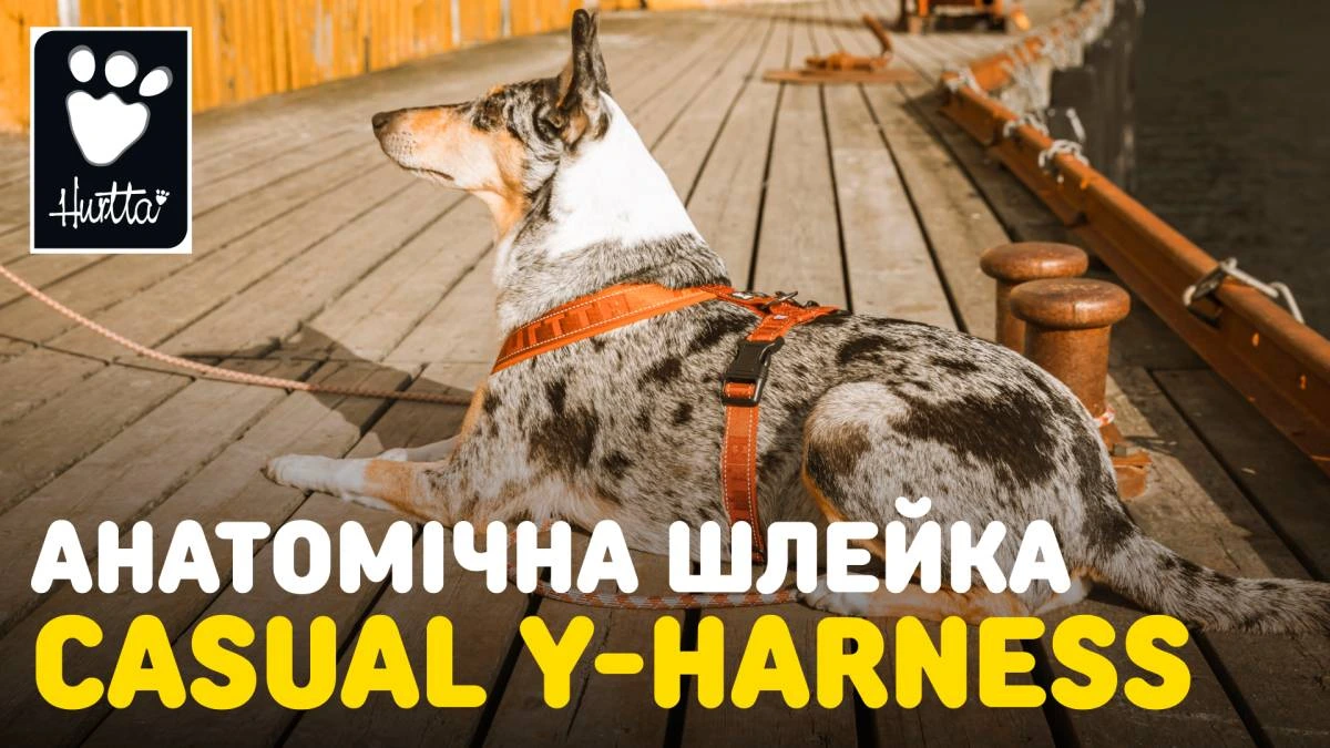 Анатомічна шлейка для собак Hurtta Casual Y-harness 50-60 Чорний
