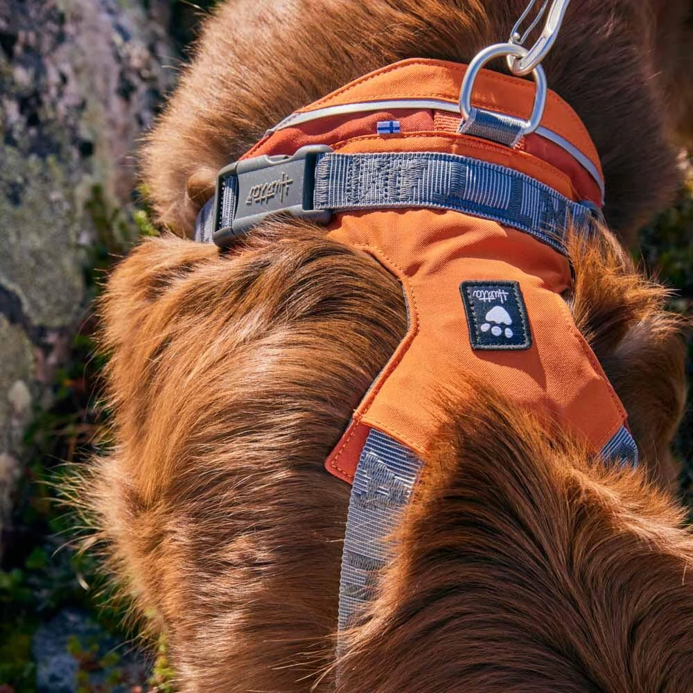 Шлейка для великих порід собак Hurtta Rover Harness Помаранчевий 45-60