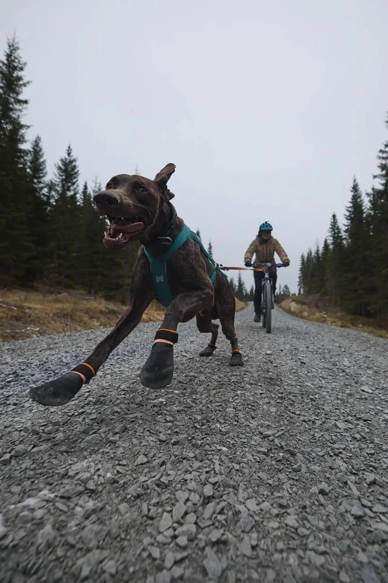 Черевики для собак Protector bootie Non-stop dogwear Чорний/Помаранчевий L