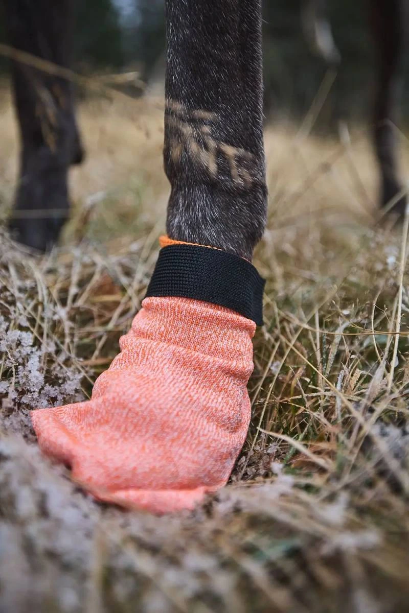 Шкарпетки для собак Protector light socks Non-stop dogwear Помаранчевий XS