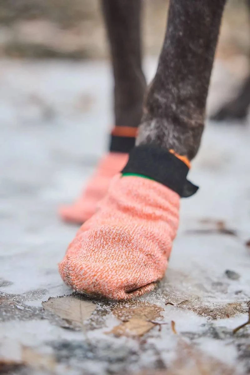 Шкарпетки для собак Protector light socks Non-stop dogwear Помаранчевий L