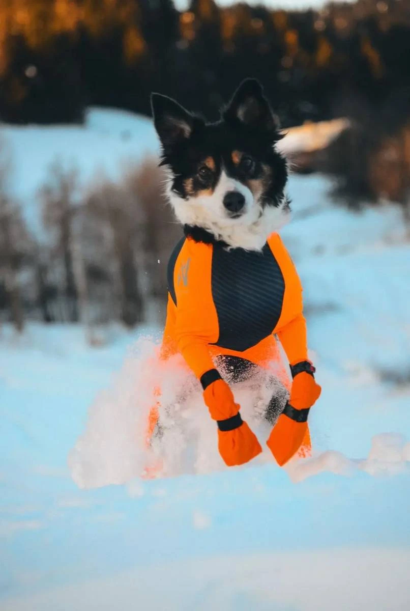 Високі черевики для собак Contact bootie high Non-stop dogwear Помаранчевий 2XS