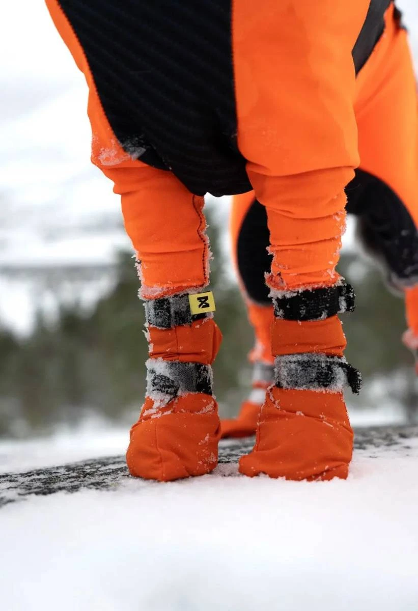 Високі черевики для собак Contact bootie high Non-stop dogwear Помаранчевий 2XS