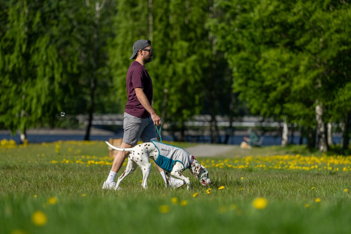 Охолоджувальний жилет для собак Cooling pull-on Non-stop dogwear Сіро-блакитний 33