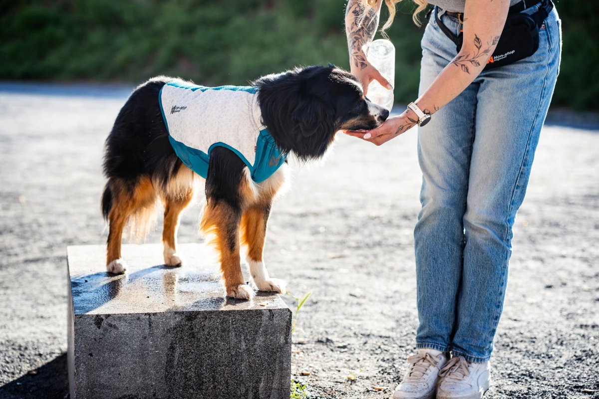 Охолоджувальний жилет для собак Cooling pull-on Non-stop dogwear Сіро-блакитний 36