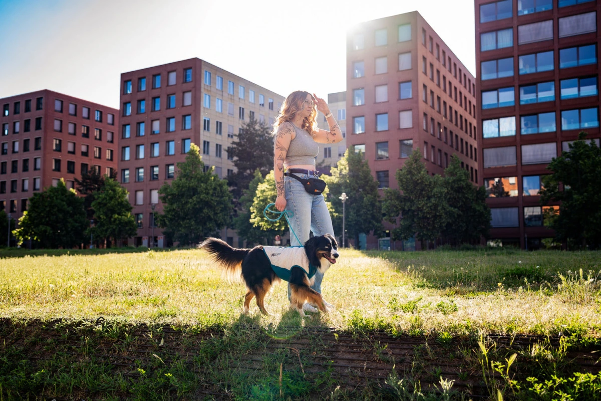 Охолоджувальний жилет для собак Cooling pull-on Non-stop dogwear Сіро-блакитний 55