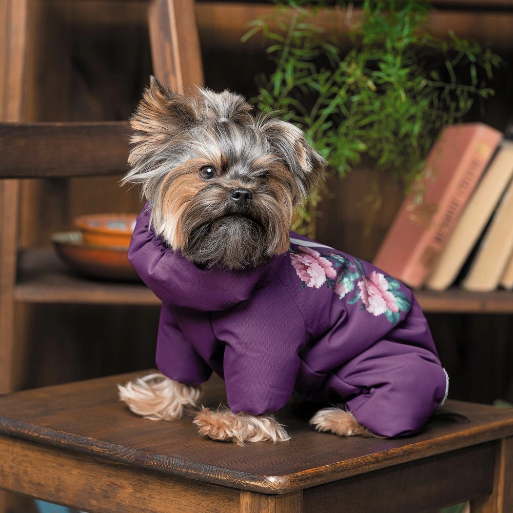 Костюм Pet Fashion LOLA для собак бузковий S