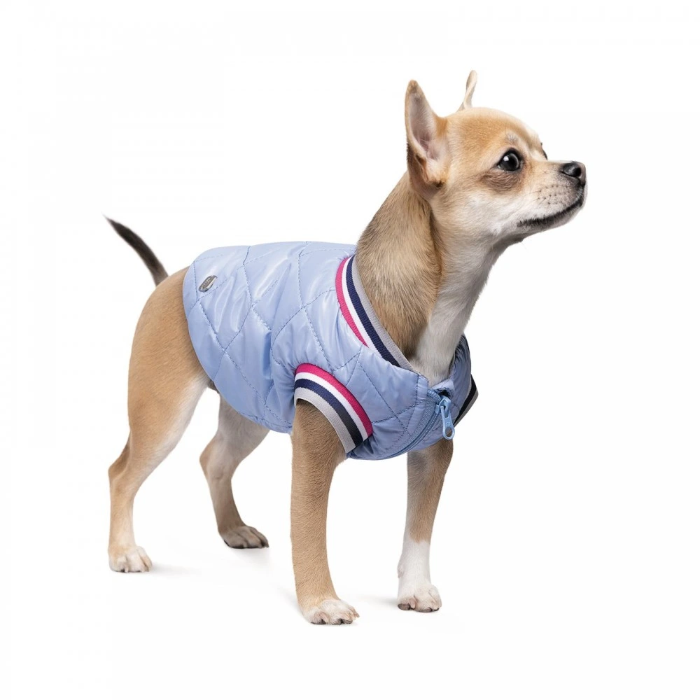 Бомбер Pet Fashion Spike для собак XS