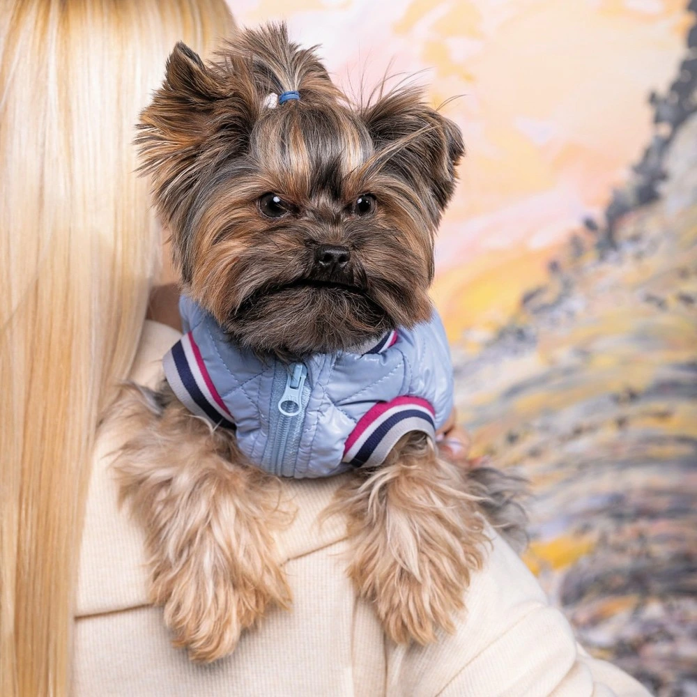 Бомбер Pet Fashion Spike для собак XS