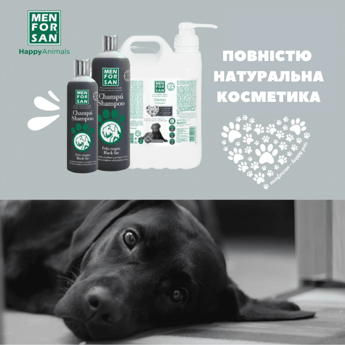 Шампунь для собак MENFORSAN, для чорного хутра, 5 л