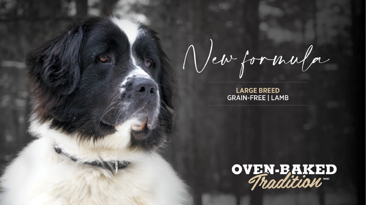 Корм для собак Oven-Baked Tradition Grain-Free для крупных пород, с ягненком, 2.27 кг