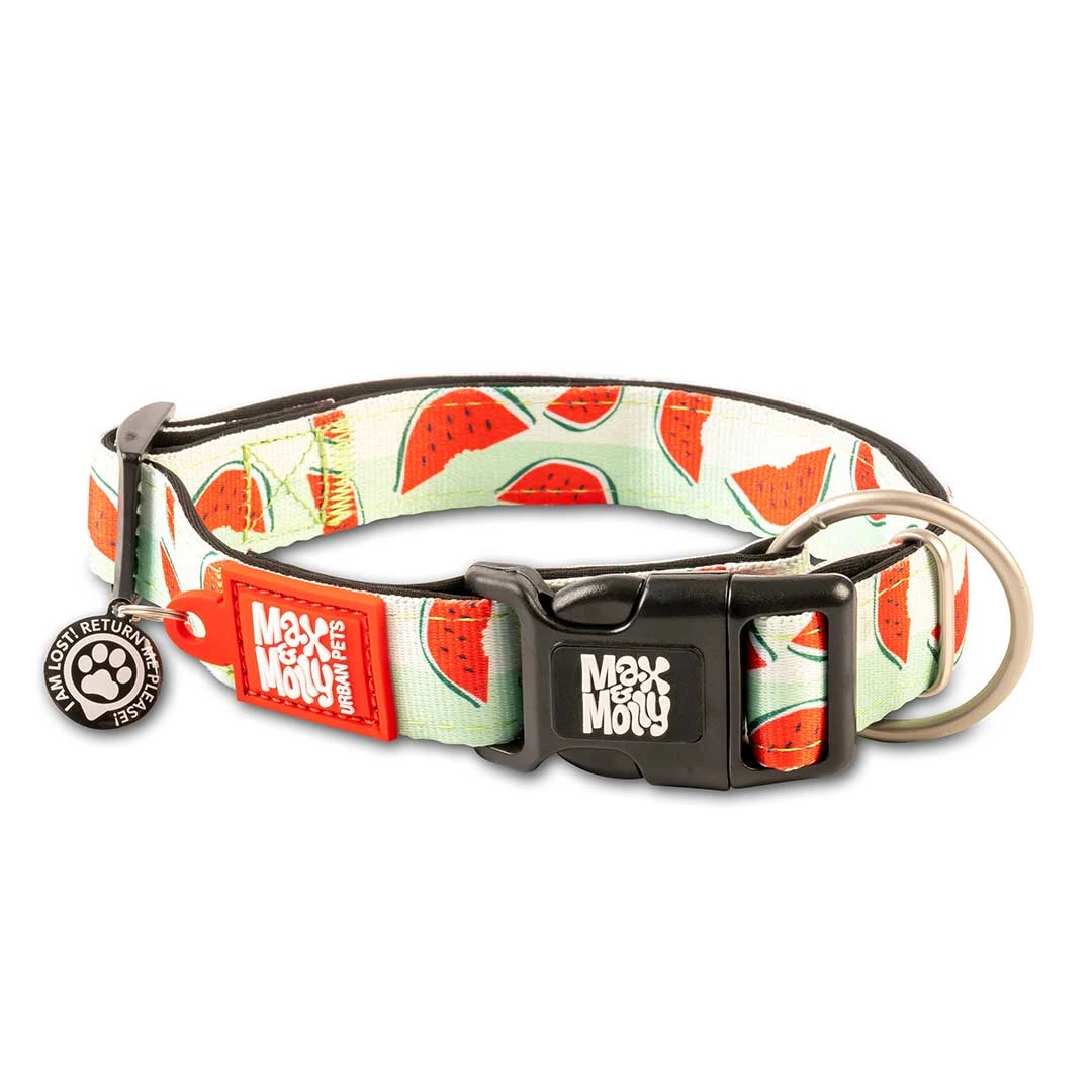 Нашийник для собак Кавуни Smart ID Collar - Watermelon/S