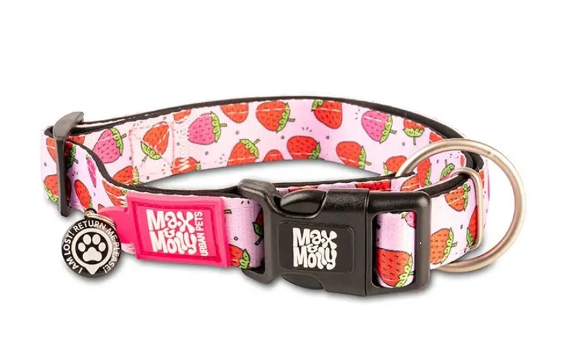 Нашийник для собак Полуниця Smart ID Collar - Strawberry Dream/L