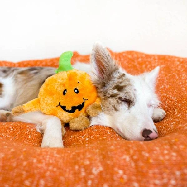 М'яка іграшка для собак Хеллоуїн гарбуз ZippyPaws Brainey Pumpkin з пищалкою