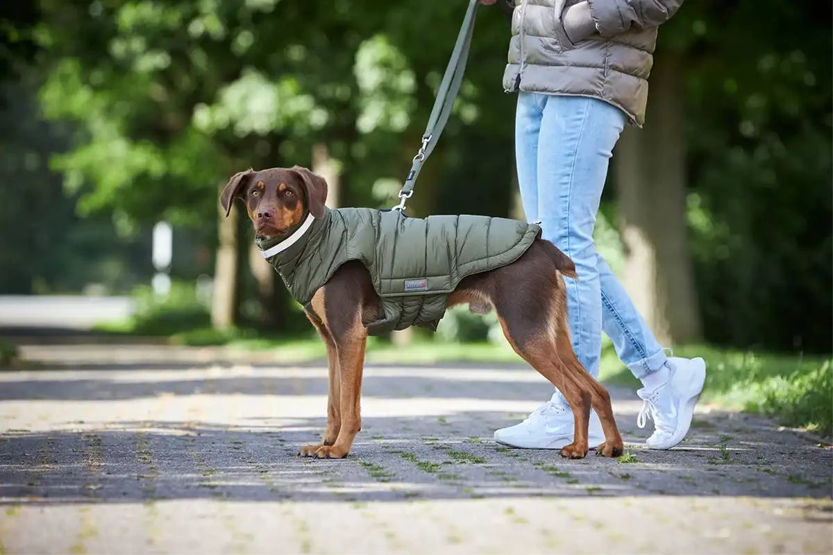 Тепла куртка для собак Wolters Cosy 44 см Оливкова
