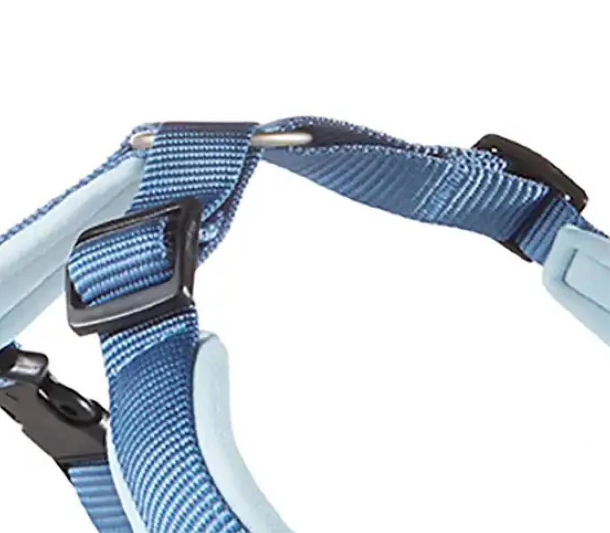 Шлейка для собак смягченная Wolters Professional Comfort 2A 45-50 см / 25 мм Синий