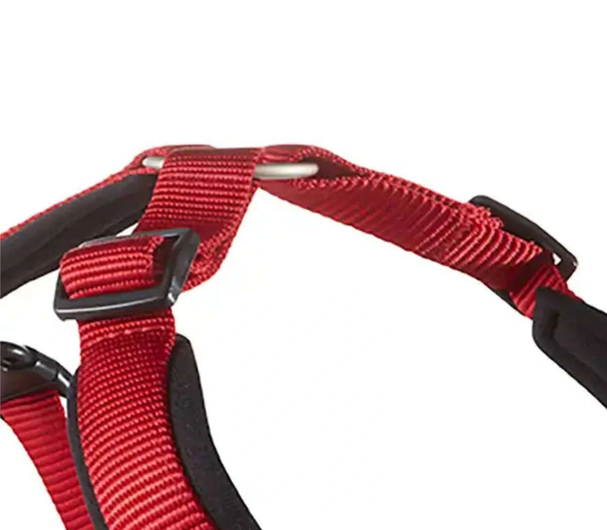 Шлейка для собак смягченная Wolters Professional Comfort 2A 45-50 см / 25 мм Красный