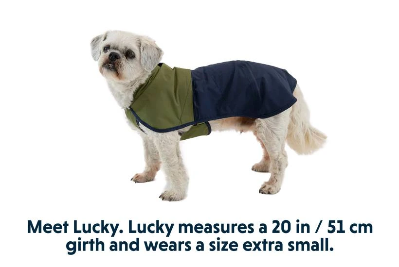 Дощовик для собак Ruffwear Sun Shower™ S Синьо-оливковий