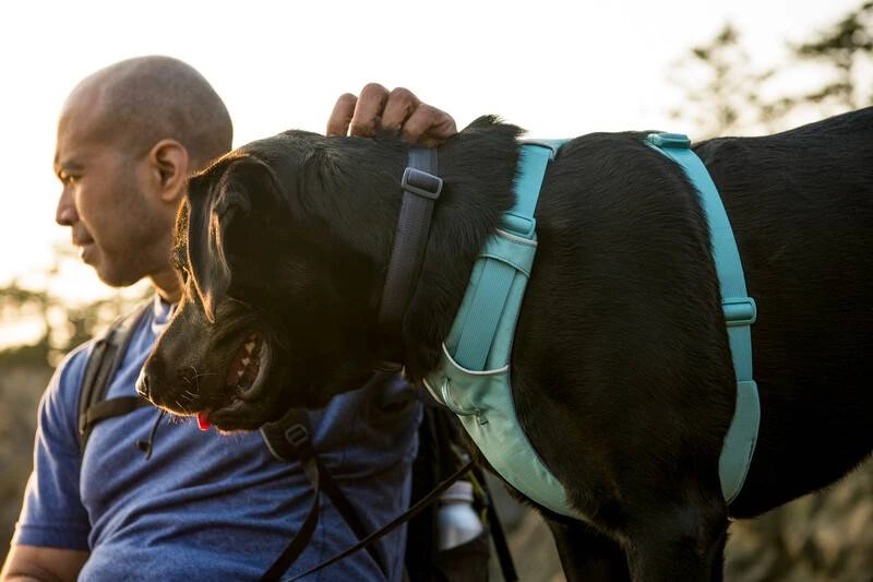 Повсякденний нашийник для собак Ruffwear Front Range™ 51-66 см Сірий