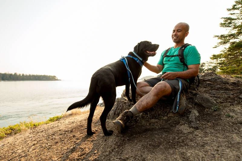 Повсякденний нашийник для собак Ruffwear Front Range™ 28-36 см Блакитно-синій