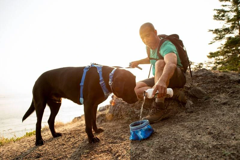 Повсякденний нашийник для собак Ruffwear Front Range™ 36-51 см Блакитно-синій