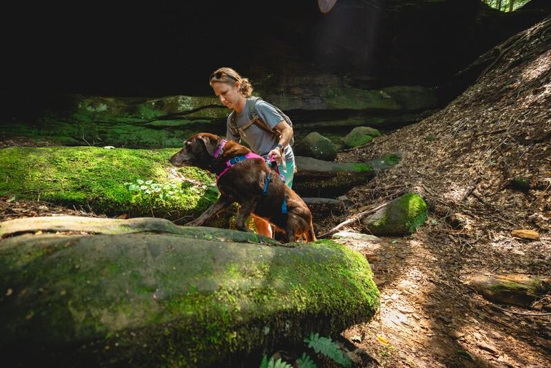 Легкая шлейка для собак Ruffwear Flagline™ XS 43-56 см Малиновый